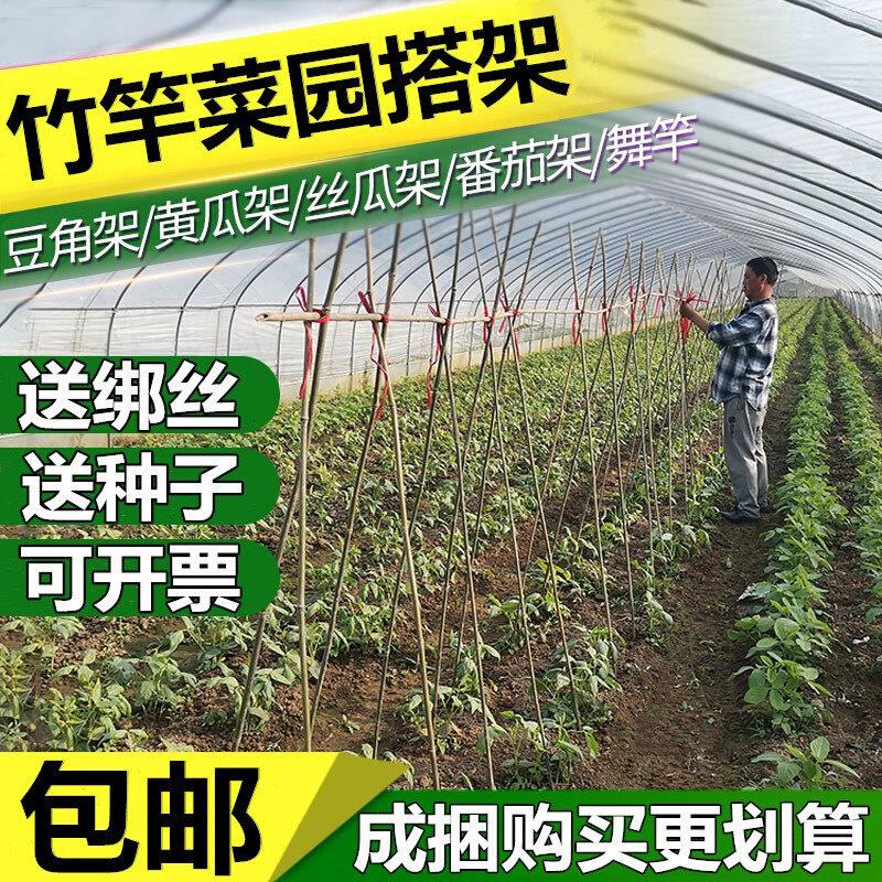 菜园搭架竹竿豆角黄瓜丝瓜番茄西红柿爬藤架篱笆围栏细竹子彩现货