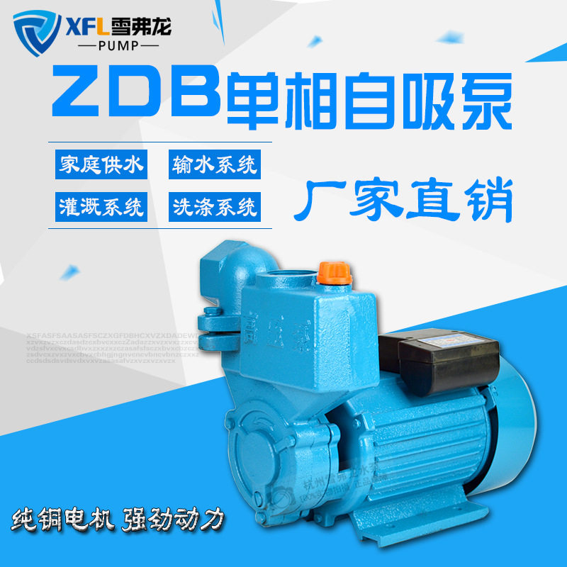 550W家用电动自吸水泵1寸铸铁图片
