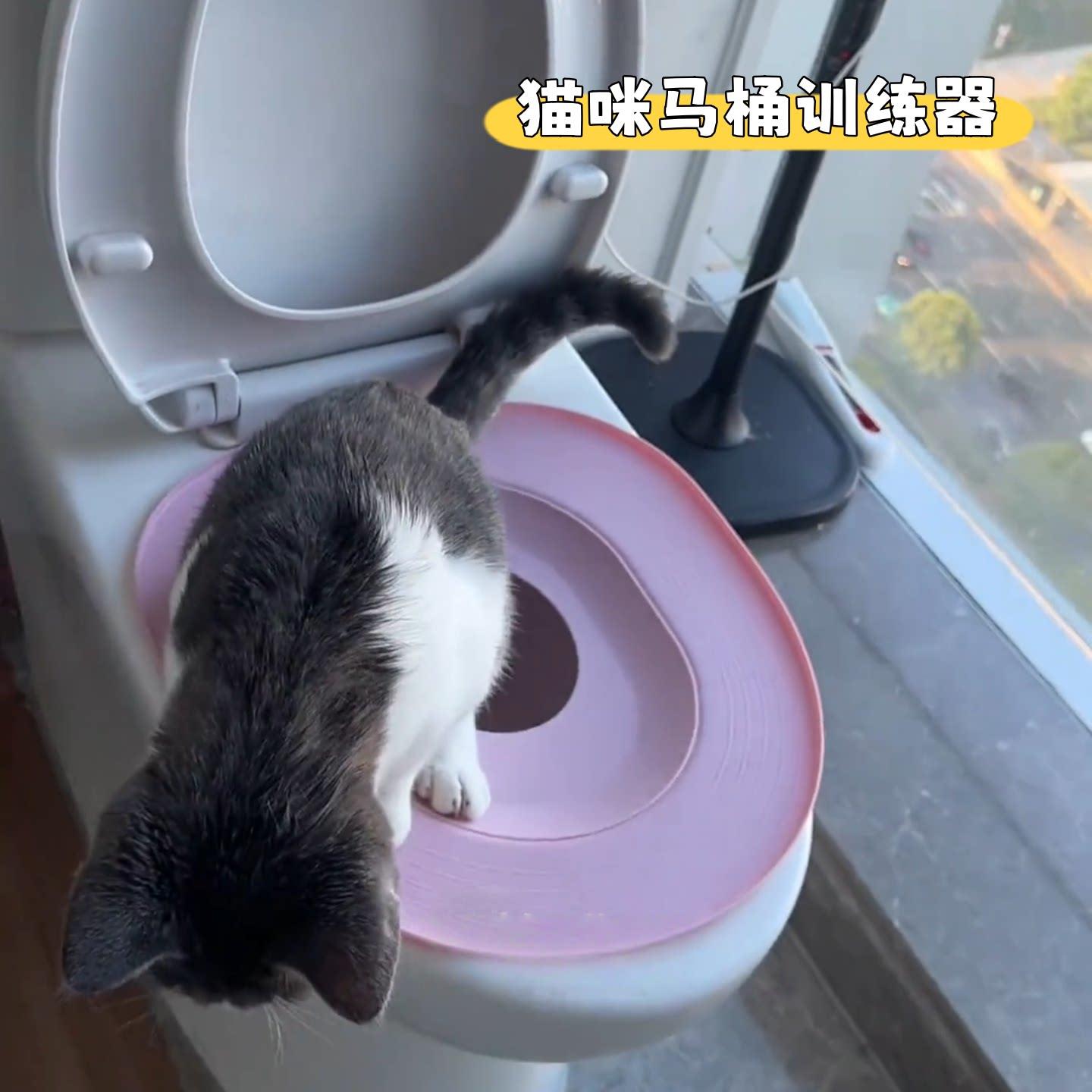 猫马桶训练器幼猫上厕所坐便器免清理猫砂盆如厕蹲坑引导器可拆卸