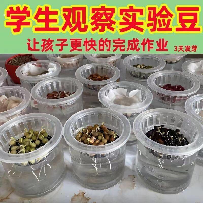 水培网格盘水培育苗盘育苗盒带盖子育秧苗盘豆芽发芽盆多层无土栽