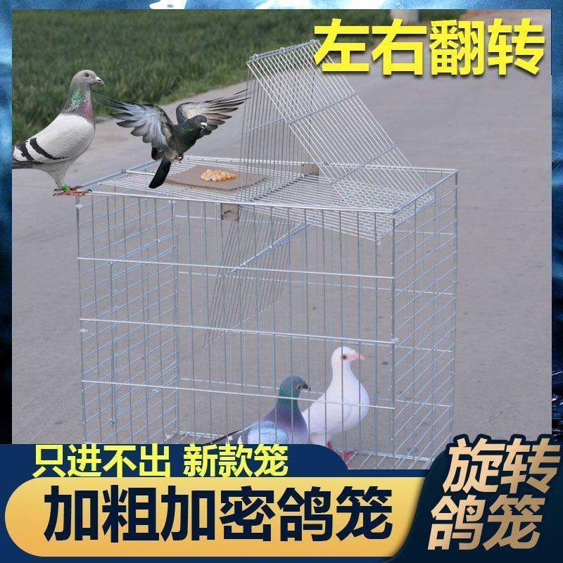 捕鸽神器鸟笼鸽笼养殖厂自动天落笼旋转笼翻板笼镀锌