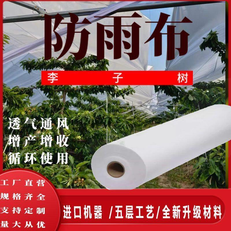 防寒布柑橘李子树大樱桃樱桃防雨不织布果树防雨透气防冻园林农用