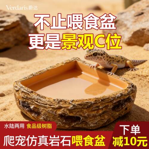 爬宠水盆扇形蜘蛛守宫蜥蜴角蛙喂食器树脂生态造景水盆三角碗