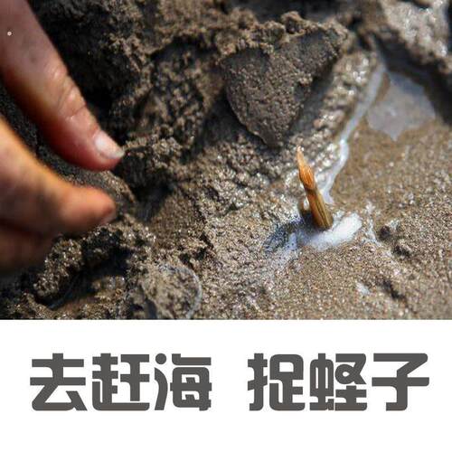 鸽粪铲子钢农用工具耙子刮板耙子刮粪晒谷耙户外大棚除雪耙搂草耙