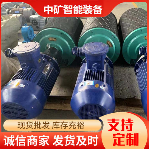 直销WD型外装油冷电动滚筒