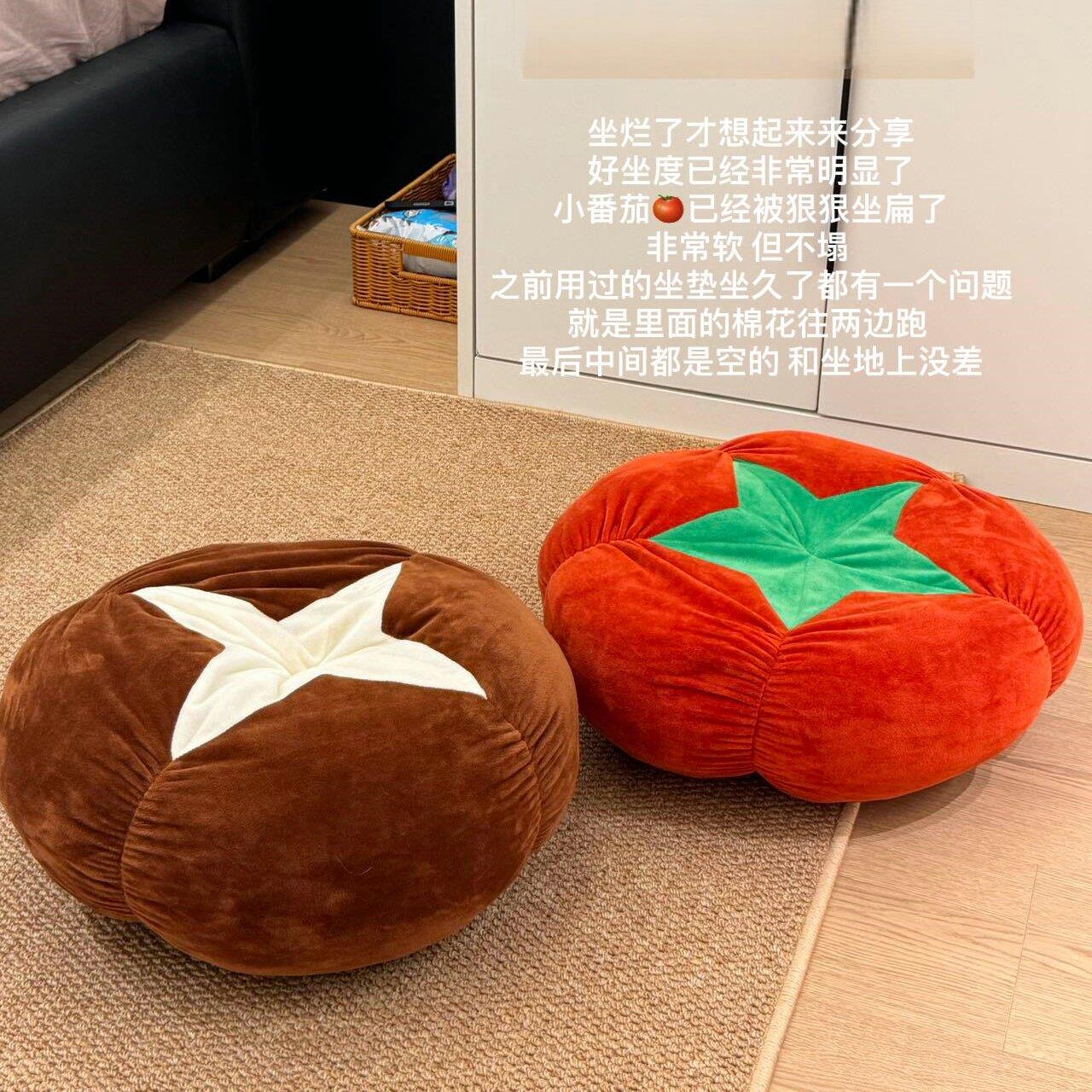 地上懒人坐垫客厅地毯地上看书地垫坐垫阳台蒲团靠背椅垫两用坐墩