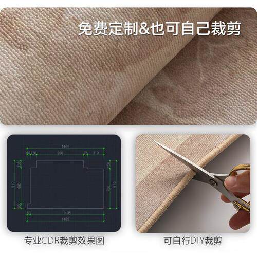 入户门垫进门地垫轻奢高级感防滑脚垫家用耐脏免洗可剪裁玄关垫子