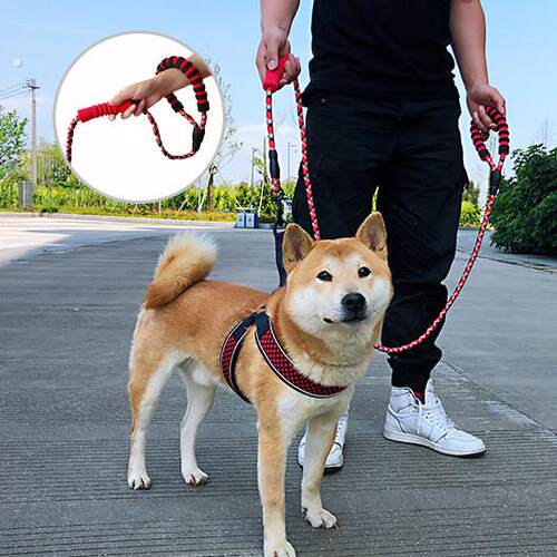 狗狗牵引绳狗链子柯基泰迪柴犬遛狗绳子中型小型犬胸背带狗狗用品