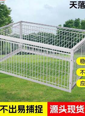 捕鸽子地拍网天落笼鸽子笼加厚加密自动收鸽子神器活络门撞门户外