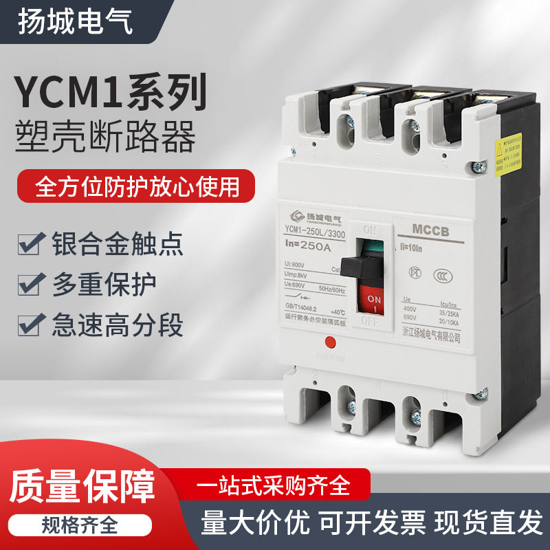 CM1塑料外壳式断路器3P/4P
