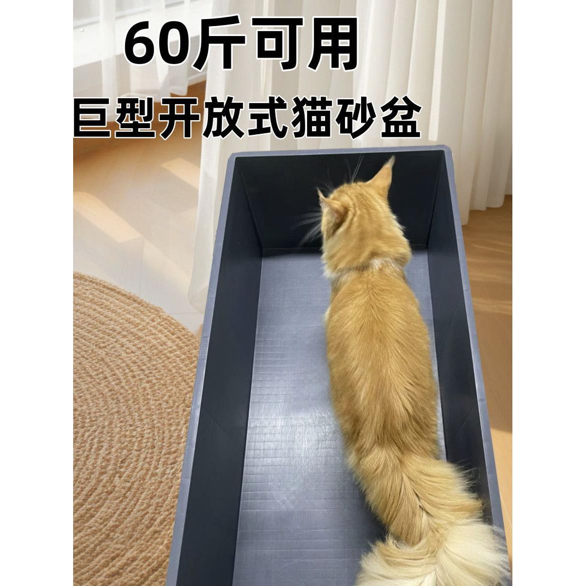 猫砂盆4-60斤小号特大号缅因猫巨大号集装箱超级大周转全巨型猫舍