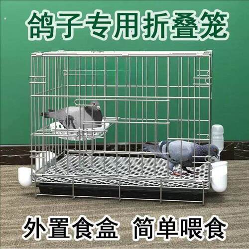 鸽子笼养鸽子专用笼养殖笼家用繁殖笼配对笼大号新型鸽舍鸽子笼子