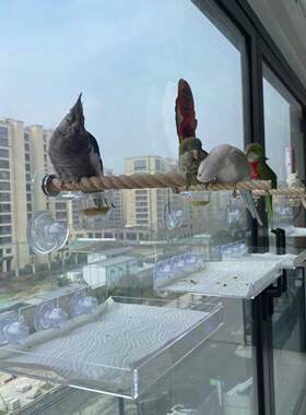 牡丹玄凤鹦鹉空中站架缤纷游乐场鸟用彩色亚克力吸盘站杆托盘套装