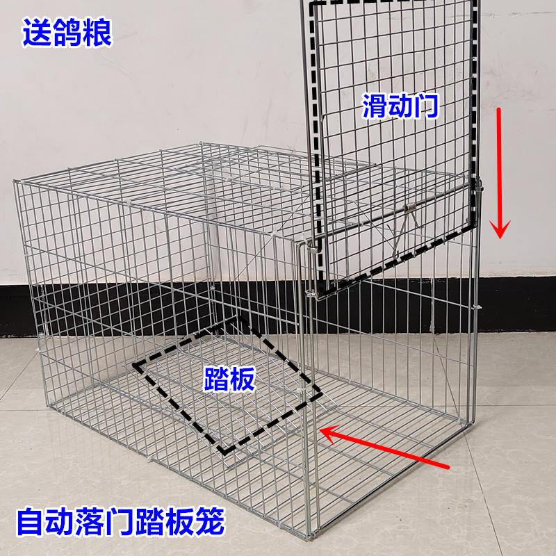 自动天落笼只进不出鸽子笼户外捕捉养殖笼防锈收纳笼收猫笼收鸡笼