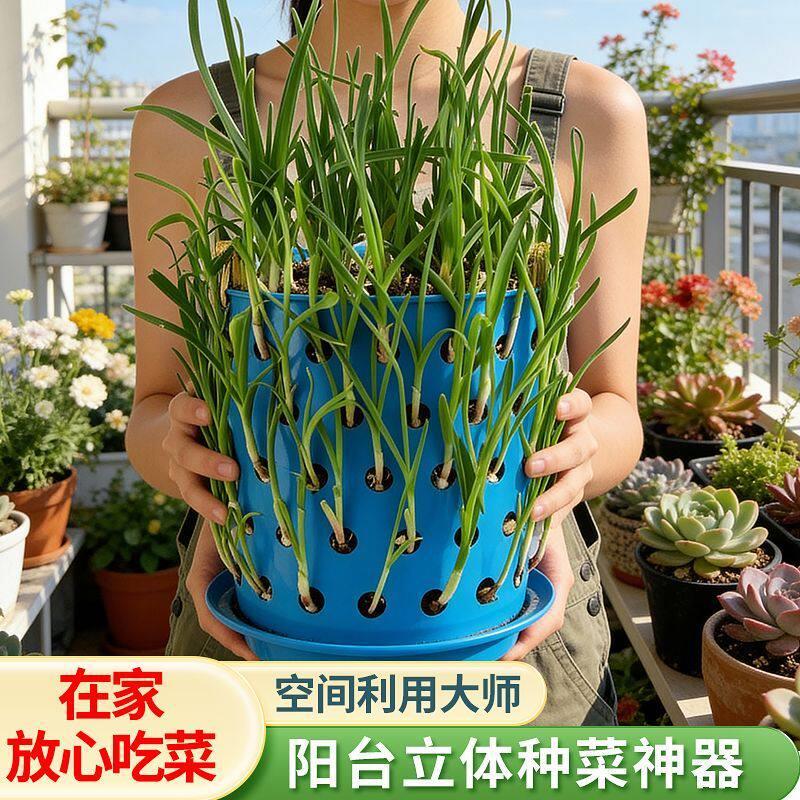 简约种葱种蒜神器大容量塑料镂空篓无盖种吃不完种韭菜种香菜筐子