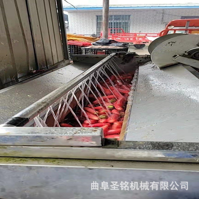 商用树莓蓝莓气泡洗果机 滚筒式生蚝海鲜洗泥机 不锈钢热水洗袋机