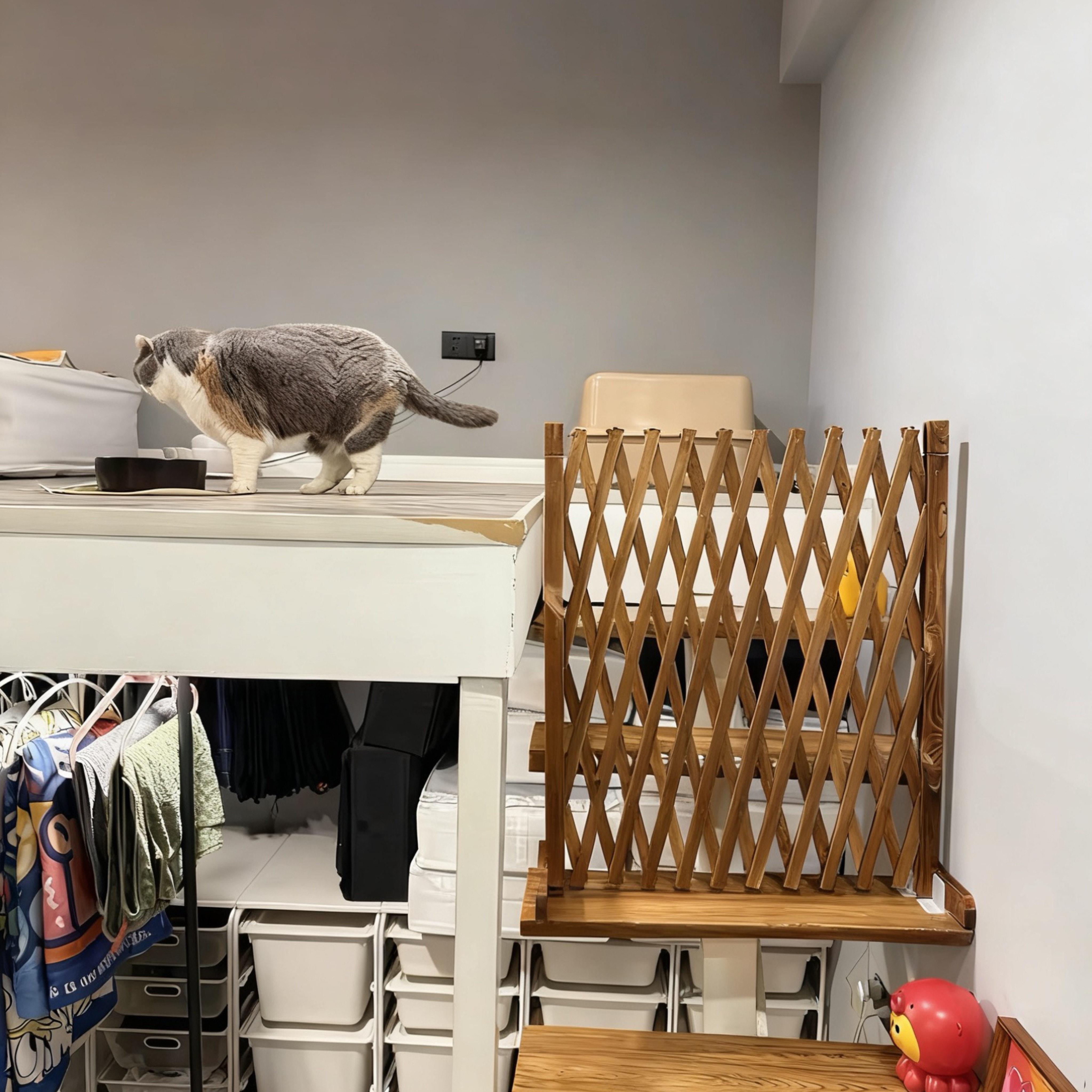 防腐木栅栏隔离门户外室内伸缩隔断拦猫拦狗兔栅栏挡板隔离网门栏