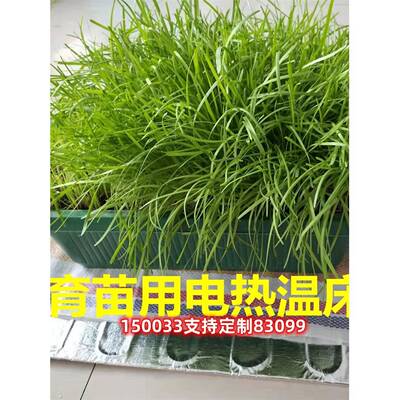 育苗用电热温床蔬菜芽苗菜花圃草皮育苗盘穴盘基质土根部加热保温