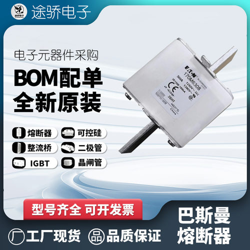 伊顿巴斯曼170M6316/6317/6318