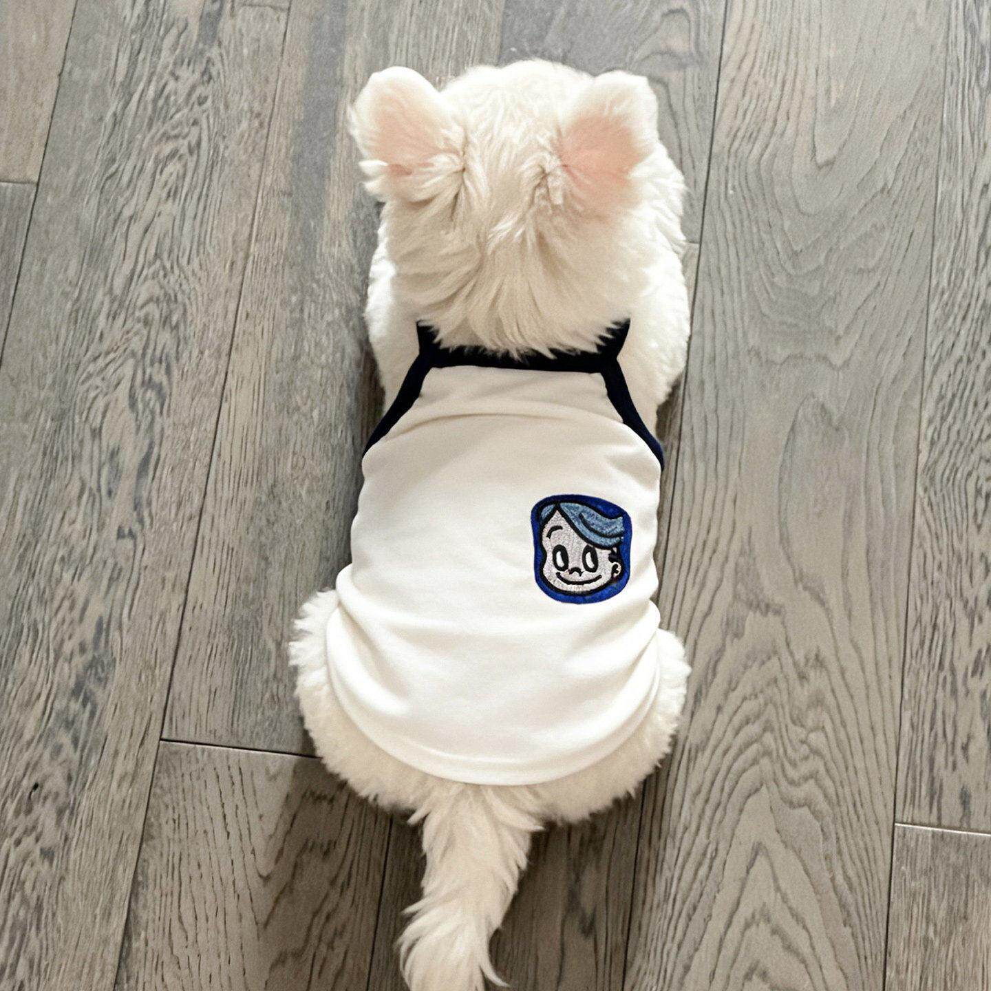 夏天狗狗衣服中小型犬薄款吊带西高地博美雪纳瑞2026新款可爱衣服