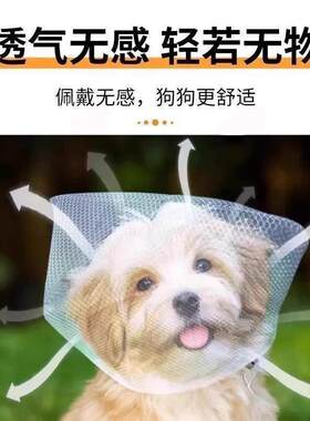 防止狗狗乱吃东西狗狗嘴套防咬乱吃嘴罩防舔网套小型口罩神器