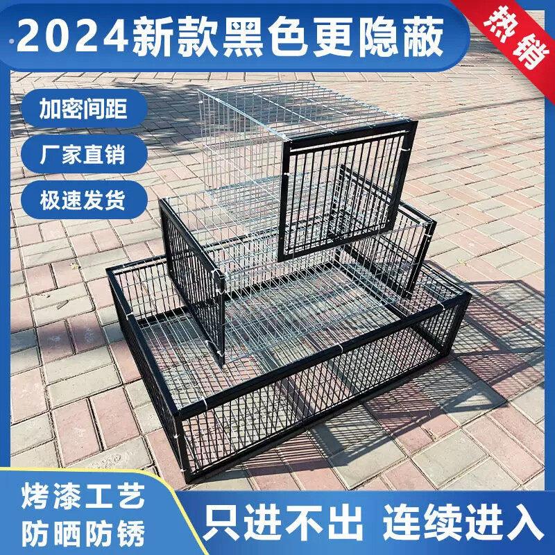 鸽子诱捕器新款加密天落笼鸽子笼收鸽信鸽专用只进不出捕鸽撞门笼