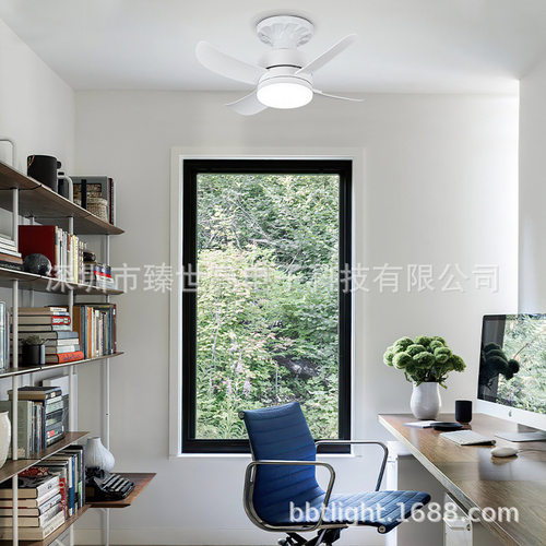 吸顶风扇灯跨境吊灯餐厅客厅卧室吊扇灯2024新款智能螺口风扇灯