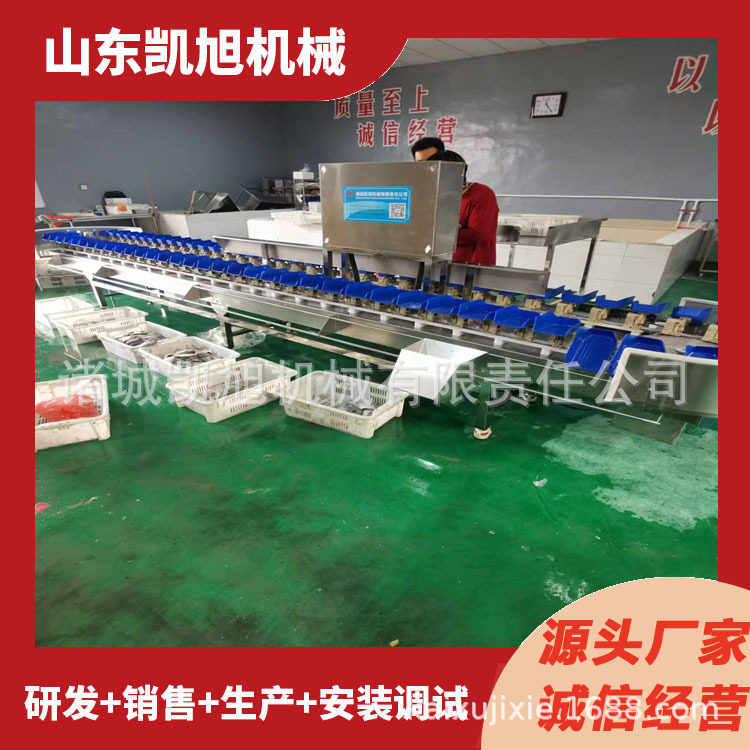 海鲜全自动清洗分选机