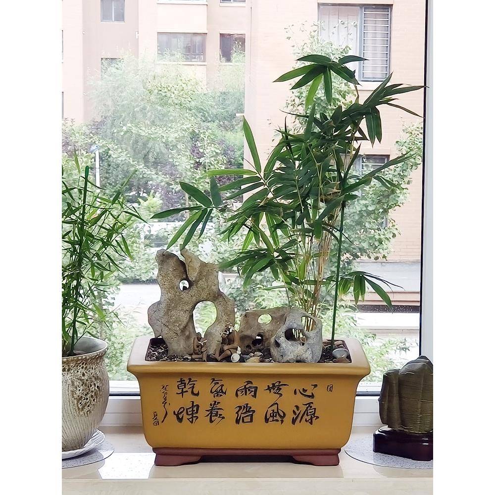 宜兴紫砂盆景花盆段泥桌面大号小号透水园艺绿植花卉地面中国风