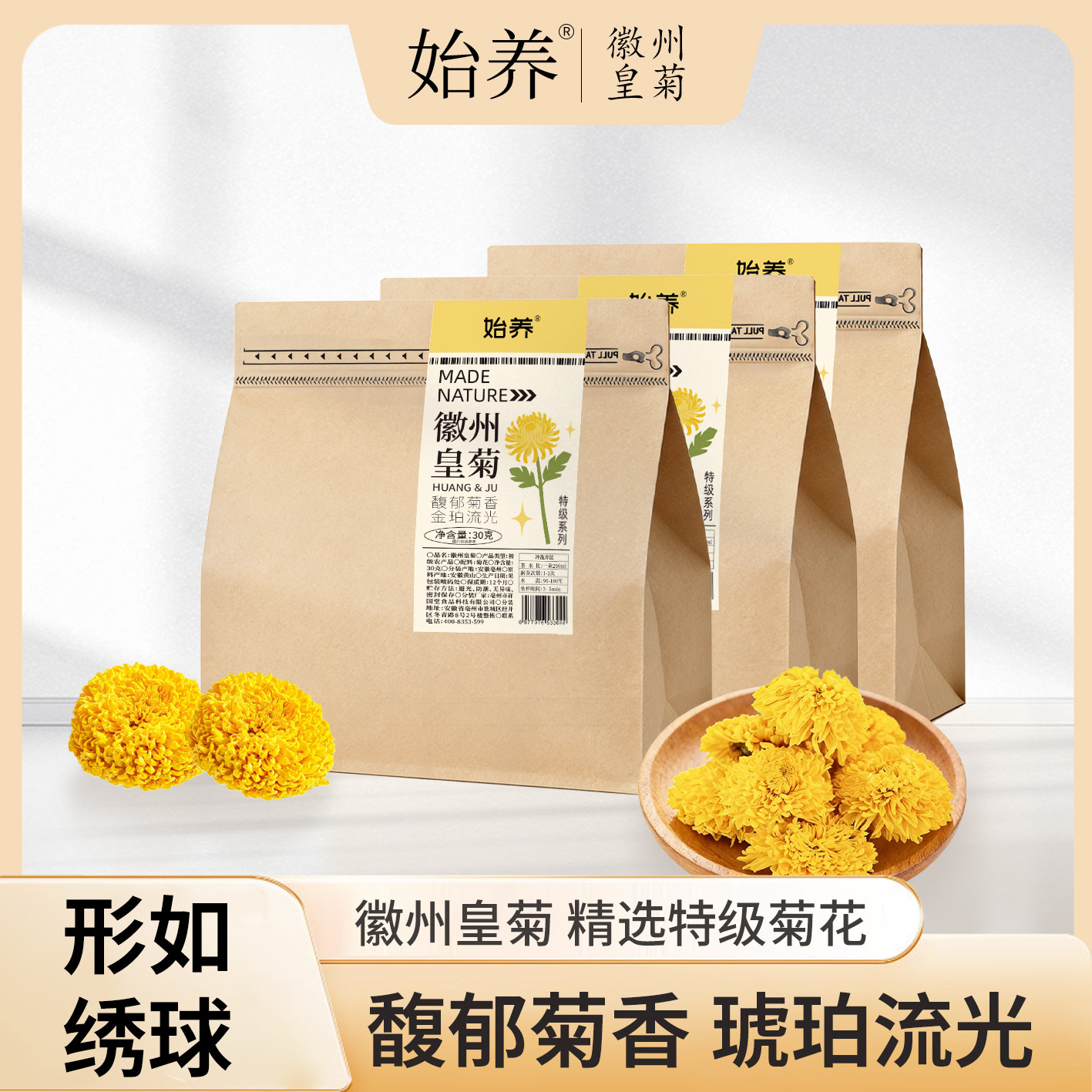 始养徽州皇菊黄山原产大朵绣球