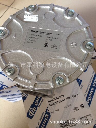 giuliani anello朱利安尼过滤器70631/1B DN50