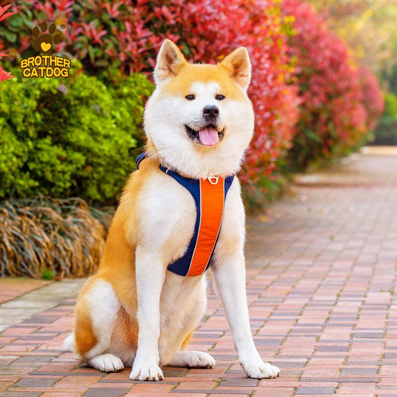 大狗胸背带用品遛狗秋田犬柴犬小中型犬背心式背带防挣脱狗胸背