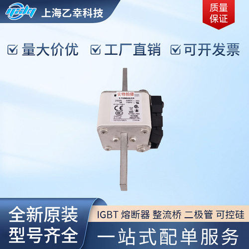 巴斯曼熔断器170M4693-4697