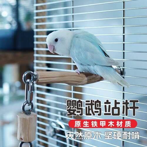 鹦鹉站杆铁甲木磨嘴鸟笼站杆站棍自然树枝玄凤牡丹虎皮站杆可定制