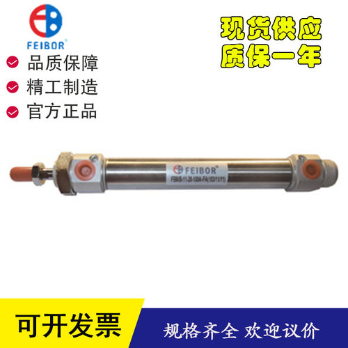 FEIBOR气缸FBMB-11-20-100A-FA-CS2  FBMB-11-20-225A-FA-CS2