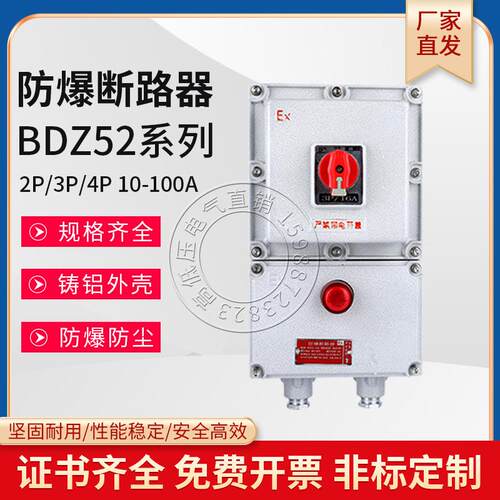 BDZ52防爆断路器10A16A20A32A63A100A带漏电开关箱2P3P4P220V380V