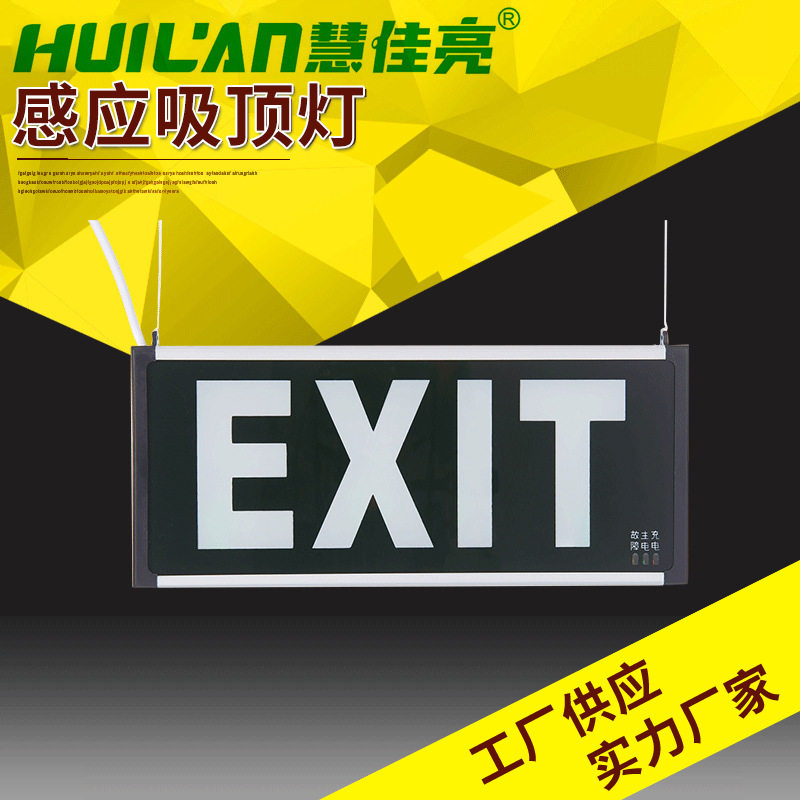 外贸LED应急疏散指示灯楼道