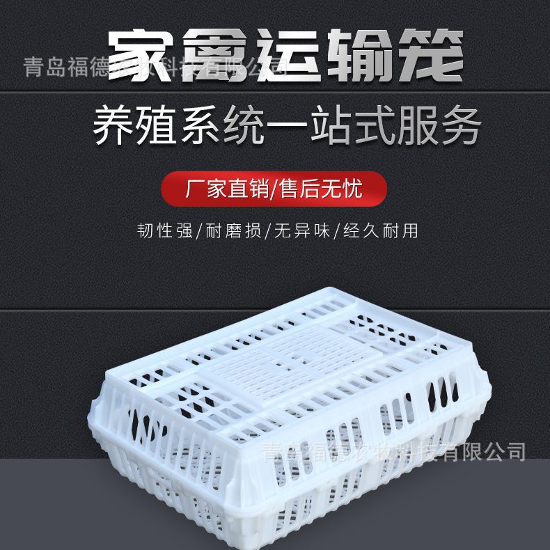 塑料鸡鸭笼成鸡运输框批发