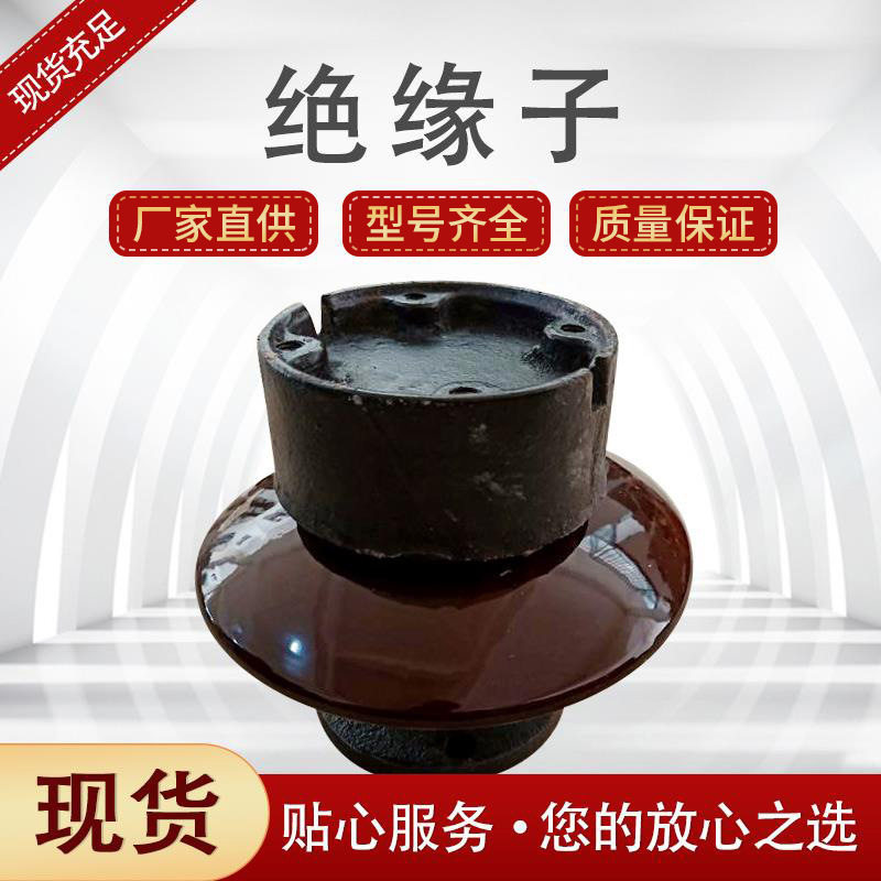 电站用针式支柱绝缘子电解铝厂用电解槽支撑绝缘子ZPD-10ZPD-35