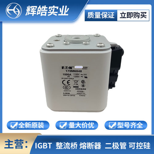 170M6548/6549低压快速熔断器