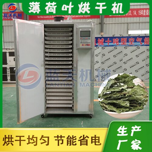 全自动薄荷烘干机 小型商用野薄荷烘干箱 薄荷叶银丹草烘干机设备