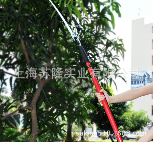 花心蘭3米园林工具高枝剪伸缩高空果树枝剪园艺修枝剪高枝锯