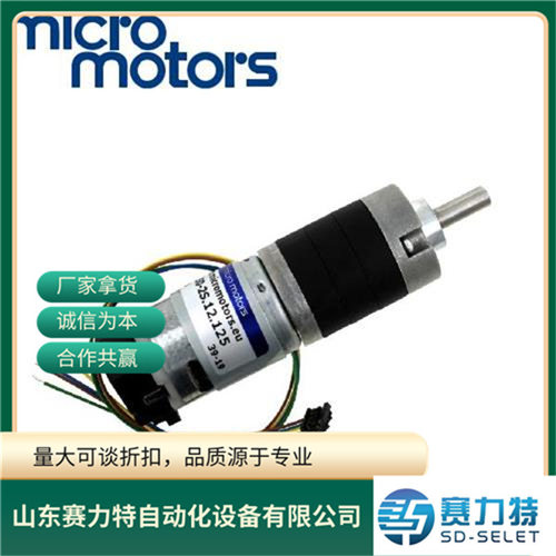 意大利MICROMOTORS直流电机