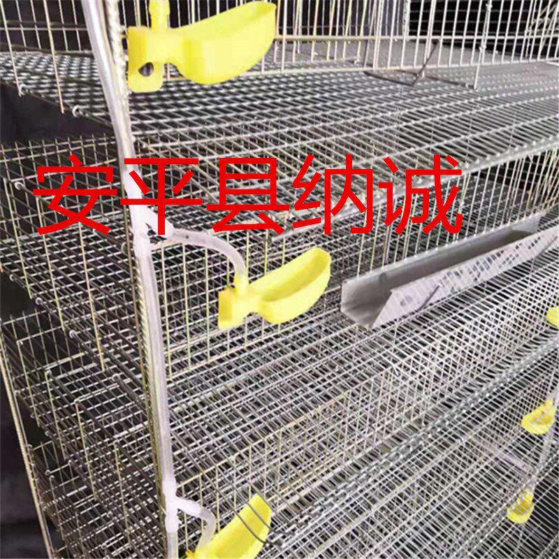 立式加粗加密鹌鹑笼具 6层12位阶梯鹌鹑笼子 鸟类镀锌鹌鹑养殖笼