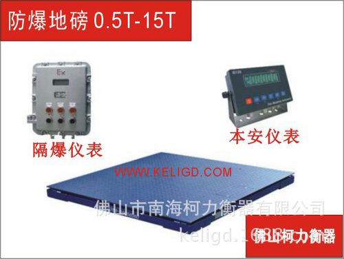 化工专用防爆地磅EX500KG-10T