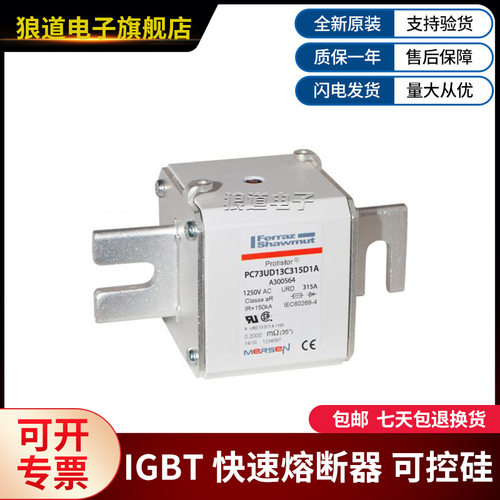 PC73UD13C315D1A-A300564PC73UD13C315EF-V300628熔断丝