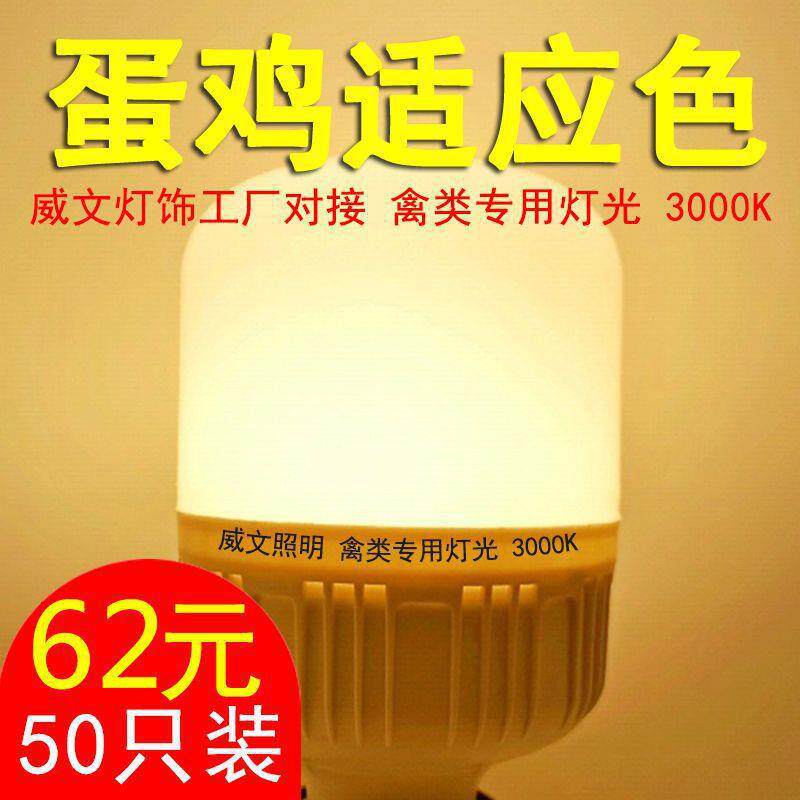养鸡场暖光灯泡暖光5瓦E27螺口5w节能灯10W照明暖光鸡用超垒德株