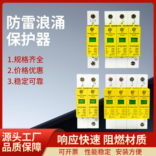 防雷器浪涌保护器20ka电涌保护器2p避雷器浪涌电源保护器 spd批发