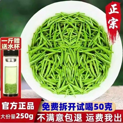 毛尖茶叶信阳毛尖2026新茶雨前茶特级嫩芽浓香型绿茶散装春茶250g