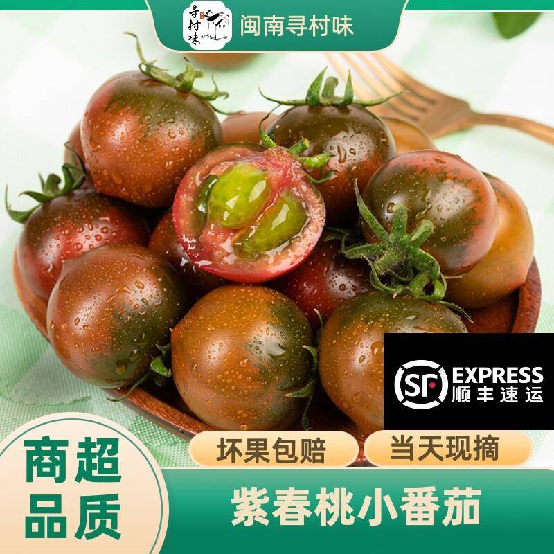 福建盐硷地紫春桃小番茄巧克力小番茄现摘孕妇新鲜水果顺丰包邮